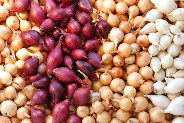 Home onions at the farmers market. outdoor shot.