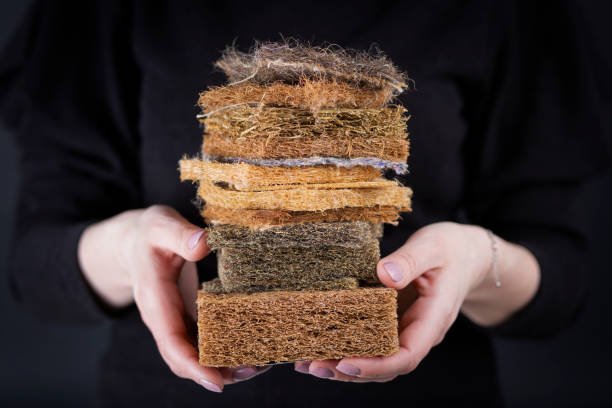 istockphoto 2157825368 612x612